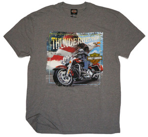 Flag Eagle Men's T-Shirt