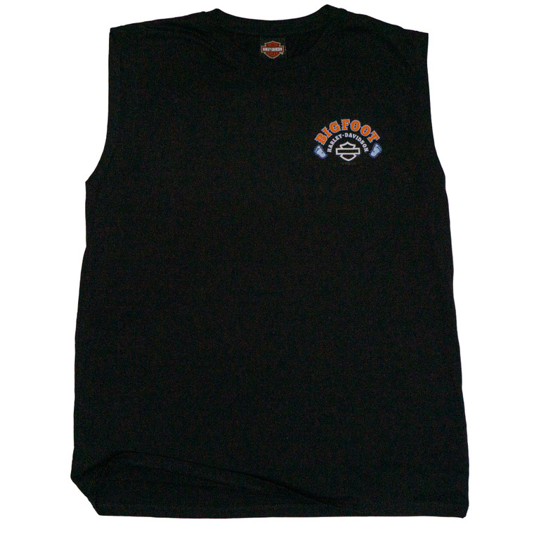 Ferris Wheel Men's Sleeveless Tee