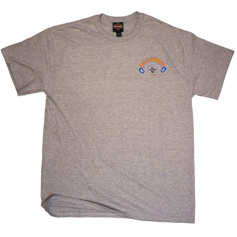 Ferris Wheel Men's T-Shirt