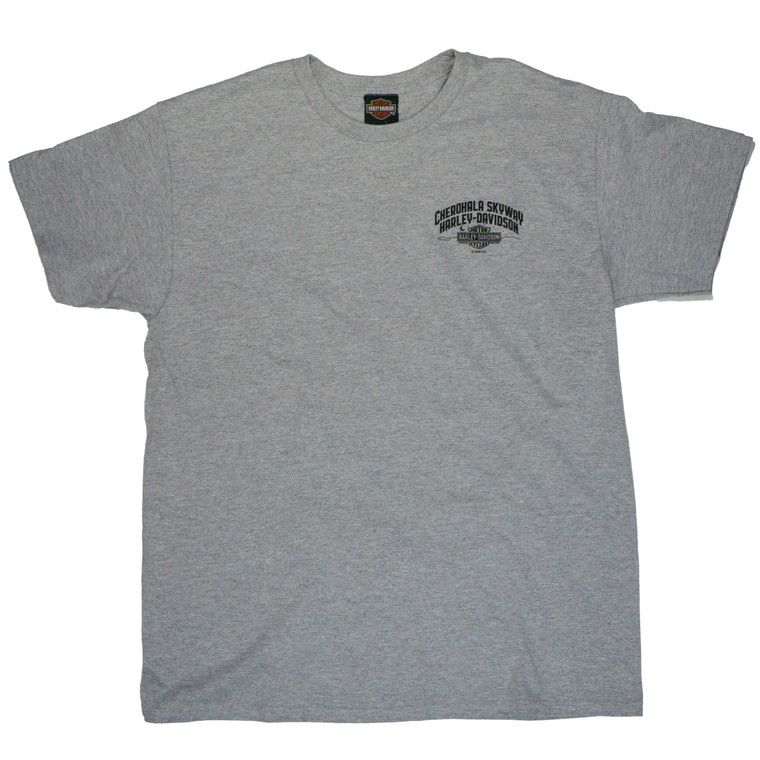 New for 2026! Campfire Men's T-shirt