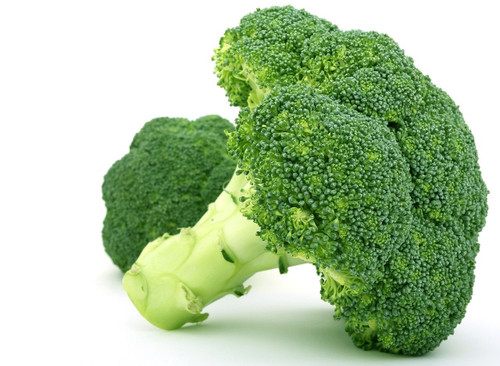 Fresh Vegetables - Green Broccoli (Surrey, BC) - 12 x 0.8lb bags | In Season