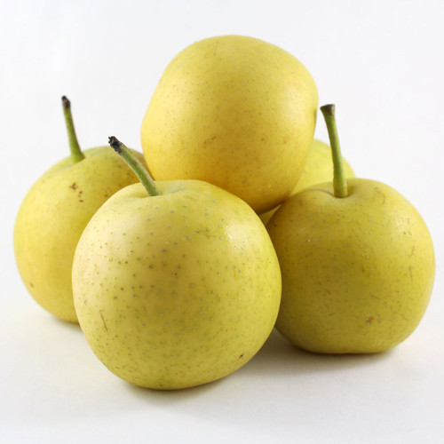 Apple Pears, Hosui (Oliver, BC) | 20lbs Apple Pears, Hosui (Oliver, BC) | 20lbs