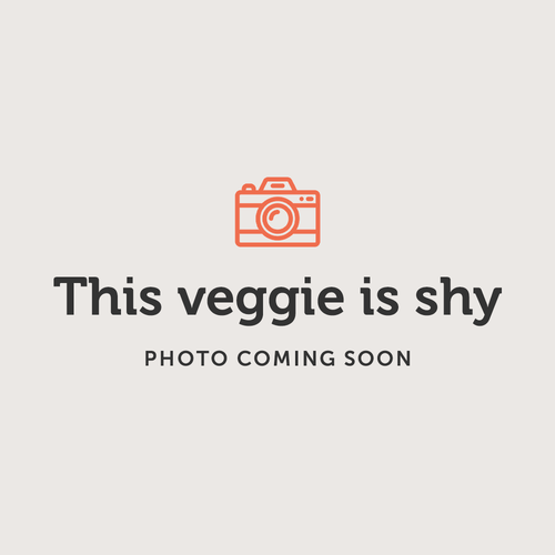 Fresh Vegetables - Bagged Bell Peppers (Alberta Greenhouse) -12 X 1lbs | In Season