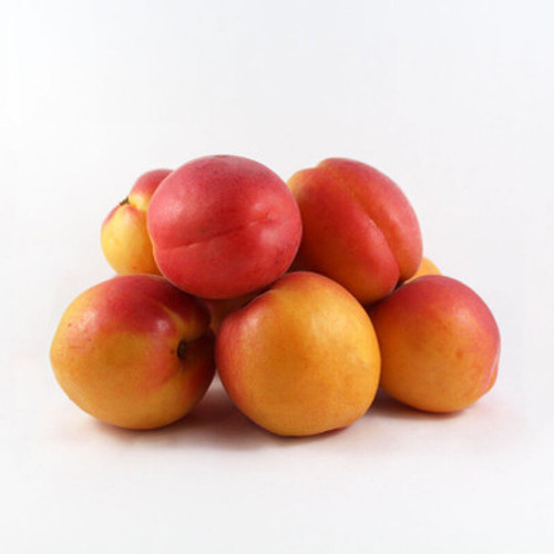 Fresh Fruits - Perfection Apricots (Oliver - BC) - 20lbs | In Season Fresh Fruits - Perfection Apricots (Oliver - BC) - 20lbs | In Season