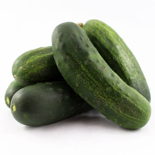 Fresh Vegetables - Mini Cukes (Airdrie, AB) - 12x1.2lbs Bags - In Season