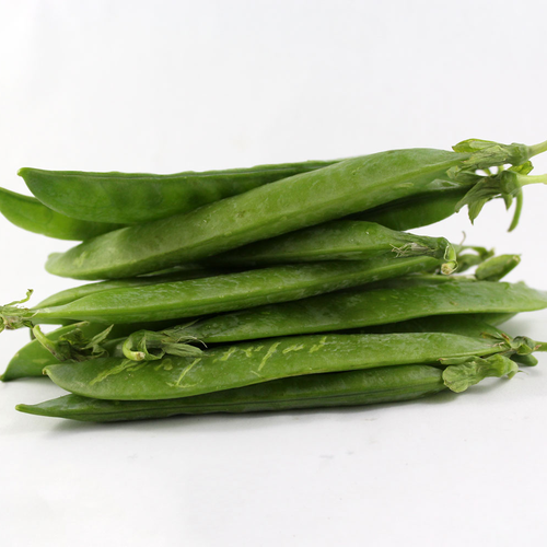 Fresh Vegetables - Mr. Big Peas (Abbotsford, BC) - 20lbs
