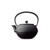 Oigen Cast Iron Teapot E-110L Masaru Shimo Arare 0.65L