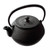 Cast Iron Teapot E-110L Masaru Shimo Arare Oigen Japan