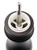 Peugeot Paris Wood Chocolate 12cm Salt Mill gilingan garam 0870412/SME/1
