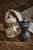 Peugeot Bistro Nature Pepper/ Salt mill 10cm gilingan Lada/ Garam Kayu