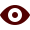 show password icon
