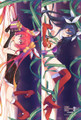 New Blue Ponytail and Red Ponytail Sided Anime Dakimakura Japanese Pillow Cover MGF 12085 Anime Dakimakura Pillow Shop
