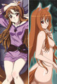 New Spice and Wolf Holo Anime Dakimakura Japanese Pillow Cover SW6 Anime Dakimakura Pillow Shop