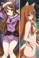 New Spice and Wolf Holo Anime Dakimakura Japanese Pillow Cover SW6 Anime Dakimakura Pillow Shop