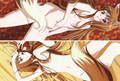 New Spice and Wolf Holo Anime Dakimakura Japanese Pillow Cover SW8 Anime Dakimakura Pillow Shop