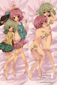 New Touhou Project Anime Dakimakura Japanese Pillow Cover TP6 Anime Dakimakura Pillow Shop