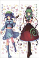New Touhou Project Anime Dakimakura Japanese Pillow Cover TP36 Anime Dakimakura Pillow Shop