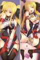 New Magical Girl Lyrical Nanoha Anime Dakimakura Japanese Pillow Cover NY53 Anime Dakimakura Pillow Shop