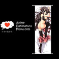 Eyes DAKIMAKURA Anime Wall Banner EYE22 Anime Dakimakura Pillow Shop