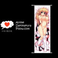 Clochette DAKIMAKURA Anime Wall Banner CE20 Anime Dakimakura Pillow Shop
