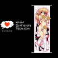 Clochette DAKIMAKURA Anime Wall Banner CE20 Anime Dakimakura Pillow Shop