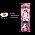 CODE GEASS Lelouch of the Rebellion DAKIMAKURA Anya Alstreim Anime Wall Banner CGLR19 Anime Dakimakura Pillow Shop