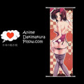 CODE GEASS Lelouch of the Rebellion DAKIMAKURA Kallen Stadtfeld Anime Wall Banner CGLR20 Anime Dakimakura Pillow Shop