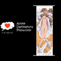 Dragon x Tiger DAKIMAKURA Anime Wall Banner DT7 Anime Dakimakura Pillow Shop