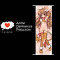 Dragon x Tiger DAKIMAKURA Anime Wall Banner DT14 Anime Dakimakura Pillow Shop