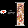 Dragon x Tiger DAKIMAKURA Anime Wall Banner DT32 Anime Dakimakura Pillow Shop