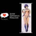 Ikki Tousen DAKIMAKURA Anime Wall Banner IT5 Anime Dakimakura Pillow Shop