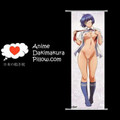 Ikki Tousen DAKIMAKURA Anime Wall Banner IT6 Anime Dakimakura Pillow Shop
