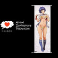 Ikki Tousen DAKIMAKURA Anime Wall Banner IT6 Anime Dakimakura Pillow Shop