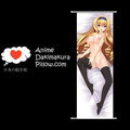 Infinite Stratos DAKIMAKURA Anime Wall Banner IS48 Anime Dakimakura Pillow Shop
