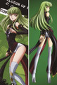 New CODE GEASS Lelouch of the Rebellion C.C. Anime Dakimakura Japanese Pillow Cover CGLR5 Anime Dakimakura Pillow Shop