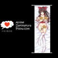 Touhou Project DAKIMAKURA Anime Wall Banner TP54 Anime Dakimakura Pillow Shop