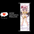 Touhou Project DAKIMAKURA Anime Wall Banner TP88 Anime Dakimakura Pillow Shop