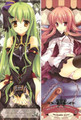 New CODE GEASS Lelouch of the Rebellion and CODE GEASS Lelouch of the Rebellion and The Familiar of Zero C.C. and Louise de La Valliere Anime Dakimakura Japanese Pillow Cover CGLR13 Anime Dakimakura Pillow Shop