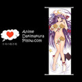 Touhou Project DAKIMAKURA Anime Wall Banner TP175 Anime Dakimakura Pillow Shop