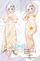 ADP Frieren - Frieren_ Beyond Journey_s End Dakimakura Japanese Pillow Cover | ADP-H-Shamoe-K0053 B