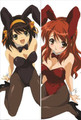 New Haruhi Suzumiya Anime Dakimakura Japanese Pillow Cover HSU20 Anime Dakimakura Pillow Shop