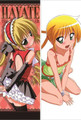 New Hayate Combat Anime Dakimakura Japanese Pillow Cover HCB6 Anime Dakimakura Pillow Shop