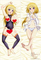 New - Infinite Stratos Anime Dakimakura Japanese Pillow Cover ContestSeventyFive 11 ADP-G179 Anime Dakimakura Pillow Shop