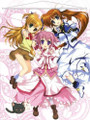Magical Girl Lyrical Nanoha Japanese Anime Wall Scroll Poster and Banner 9 Anime Dakimakura Pillow Shop