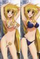 New Magical Girl Lyrical Nanoha Anime Dakimakura Japanese Pillow Cover MGLN27 Anime Dakimakura Pillow Shop