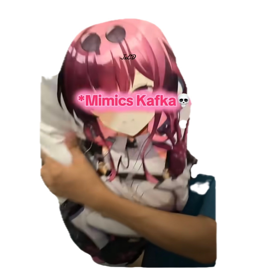 Post-Holiday Highlights: Unboxing the Kafka Dakimakura with JxCD