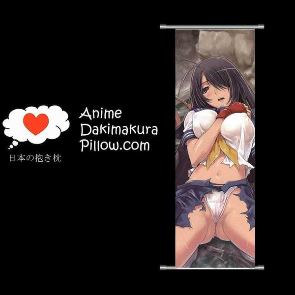 Ikki Tousen DAKIMAKURA Anime Wall Banner IT28 Anime Dakimakura Pillow Shop