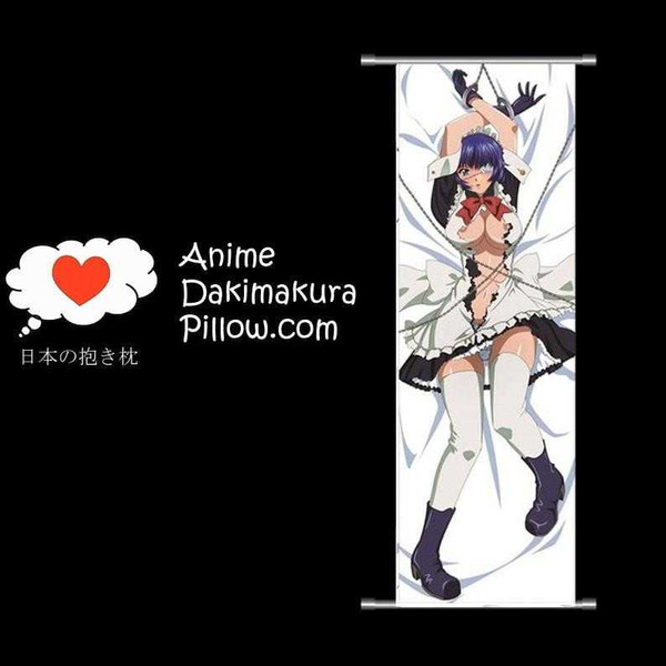 Ikki Tousen DAKIMAKURA Anime Wall Banner IT30 Anime Dakimakura Pillow Shop
