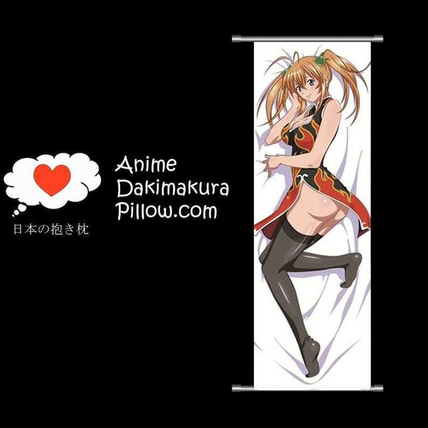 Ikki Tousen DAKIMAKURA Anime Wall Banner IT23 Anime Dakimakura Pillow Shop