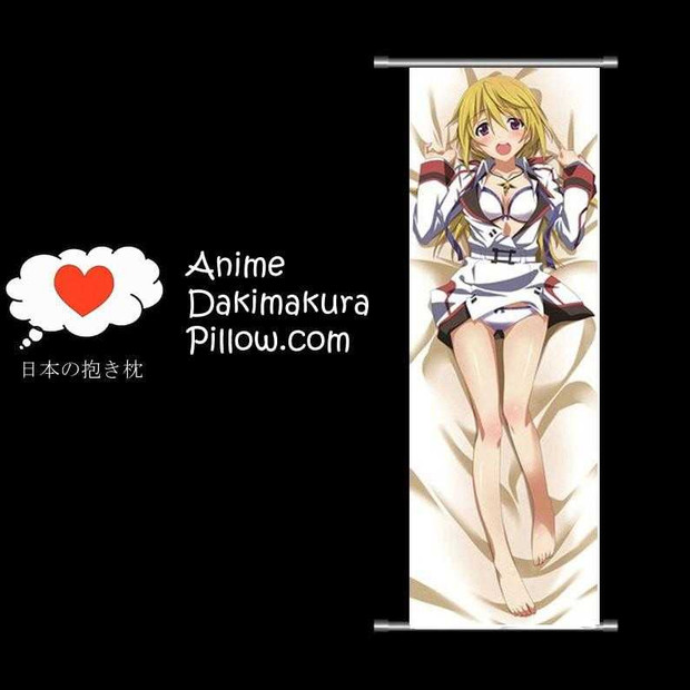 Infinite Stratos DAKIMAKURA Anime Wall Banner IS1 Anime Dakimakura Pillow Shop
